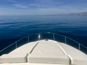 Thumbnail von Sea Ray 355 Sundancer