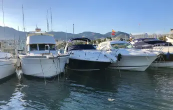 Thumbnail von Sea Ray 355 Sundancer