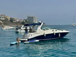 Thumbnail von Sea Ray 355 Sundancer