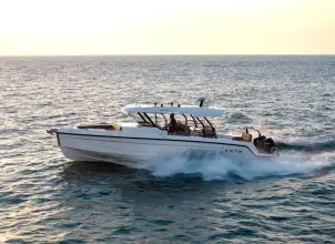 Thumbnail von Cruisers Yachts 38 VTR