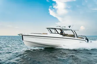 Thumbnail von Cruisers Yachts 38 VTR