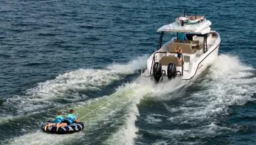 Thumbnail von Cruisers Yachts 38 VTR