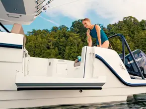 Thumbnail von Cruisers Yachts 38 VTR