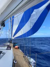 Thumbnail von Beneteau Sense 55 GRAND LUX