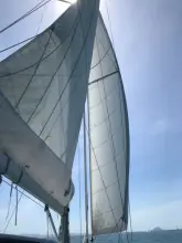 Thumbnail von Beneteau Sense 55 GRAND LUX