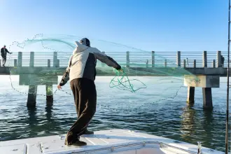 Thumbnail von Aquila 36 Molokai