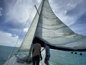 Thumbnail von Jeanneau Sun Odyssey 519 Ivory