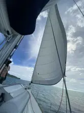Thumbnail von Jeanneau Sun Odyssey 519 Ivory