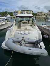 Thumbnail von Sea Ray 455 Sundancer Low Profile