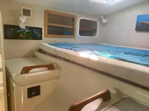 Thumbnail von Voyage Yachts Mayotte 47 SWISH
