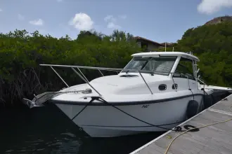 Thumbnail von Boston Whaler 315 Conquest Re-powered -  twin 350