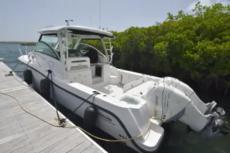 Thumbnail von Boston Whaler 315 Conquest Re-powered -  twin 350