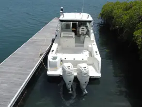 Thumbnail von Boston Whaler 315 Conquest Re-powered -  twin 350