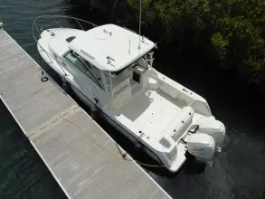 Thumbnail von Boston Whaler 315 Conquest Re-powered -  twin 350