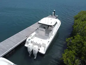 Thumbnail von Boston Whaler 315 Conquest Re-powered -  twin 350