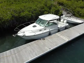 Thumbnail von Boston Whaler 315 Conquest Re-powered -  twin 350