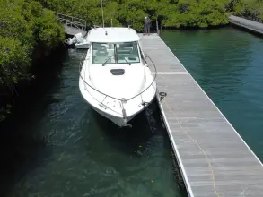 Thumbnail von Boston Whaler 315 Conquest Re-powered -  twin 350
