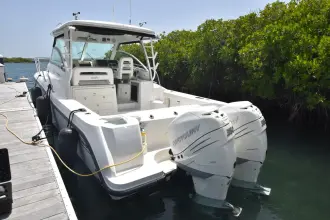 Thumbnail von Boston Whaler 315 Conquest Re-powered -  twin 350