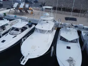 Luhrs 40