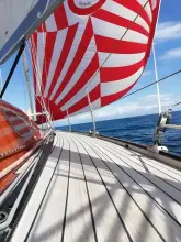 Thumbnail von Wegener Yachtwerft Nissen 37