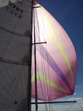 Thumbnail von Wegener Yachtwerft Nissen 37