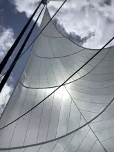 Thumbnail von Sunreef Yachts 62