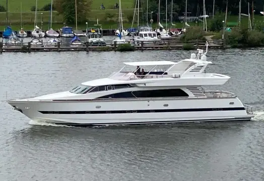 Elegance 82 CURIOSITY