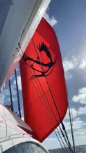 Thumbnail von Sunreef Yachts 82 HOUBARA