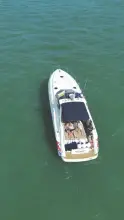 Thumbnail von Sunseeker Camargue 51