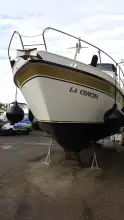 Thumbnail von Stevens 1140