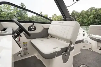 Thumbnail von Sea Ray SDX 250