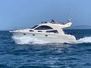 Rodman 38