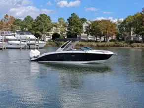 Sea Ray SDX 290 Outboard
