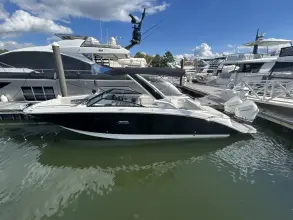 Thumbnail von Sea Ray SDX 290 Outboard