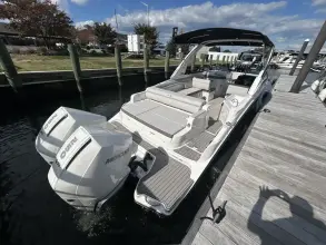 Thumbnail von Sea Ray SDX 290 Outboard