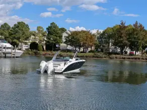 Thumbnail von Sea Ray SDX 290 Outboard