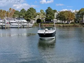 Thumbnail von Sea Ray SDX 290 Outboard