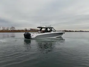 Thumbnail von Boston Whaler 350 Realm