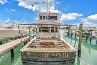 Thumbnail von Viking 72 Enclosed Bridge Reel Blonde
