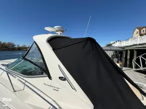 Thumbnail von Sea Ray 350 Sundancer
