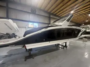 Sea Ray SDX 290 Outboard