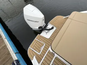 Thumbnail von Sea Ray Sun Sport 250