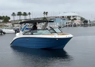 Thumbnail von Sea Ray Sun Sport 250