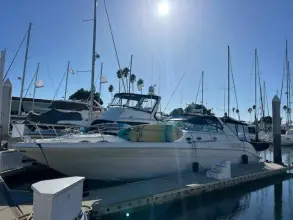 Sea Ray 330 Sundancer  Knot for Sail