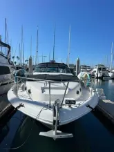 Thumbnail von Sea Ray 330 Sundancer  Knot for Sail