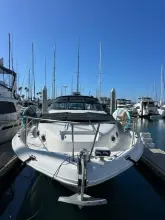 Thumbnail von Sea Ray 330 Sundancer  Knot for Sail