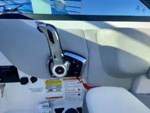 Thumbnail von Sea Ray SDX 250 Outboard