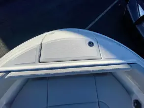 Thumbnail von Sea Ray SDX 250 Outboard