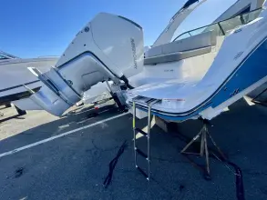 Thumbnail von Sea Ray SDX 250 Outboard