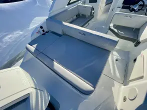 Thumbnail von Sea Ray SDX 250 Outboard